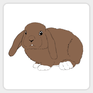 Lop rabbit brown fawn white Sticker